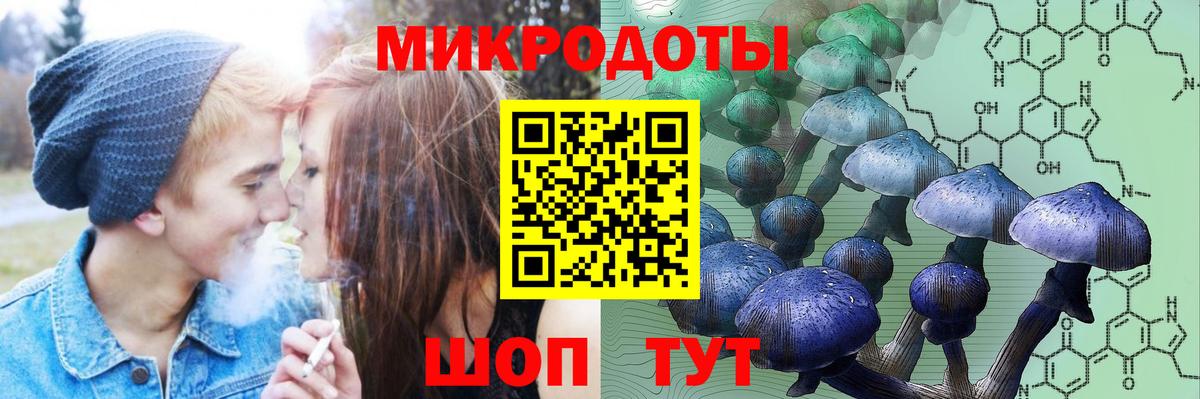 Петропавловск-Камчатский  Псилоцибиновые грибы ЛСД  Псилоцибиновые грибы Psilocybine cubensis  купить закладку  Вход с VPN 