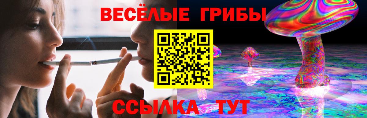 Галлюциногенные грибы Cubensis Петропавловск-Камчатский